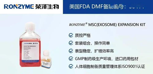 荣泽集团 市场调查成就斐然，稳健前行再谱新篇